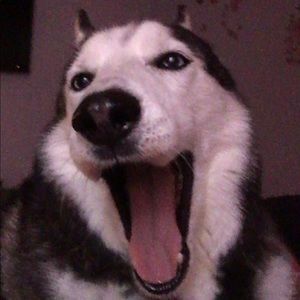 Meet your Posher, Kaylee